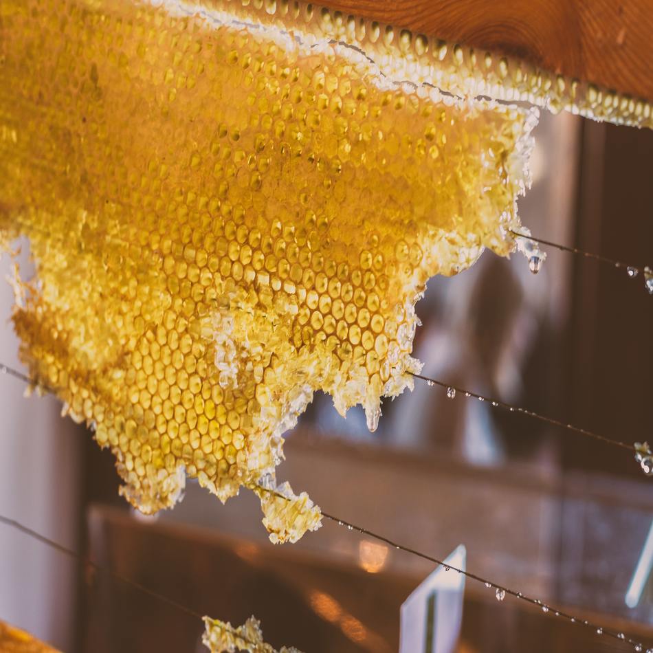 Beeswax honeycomb