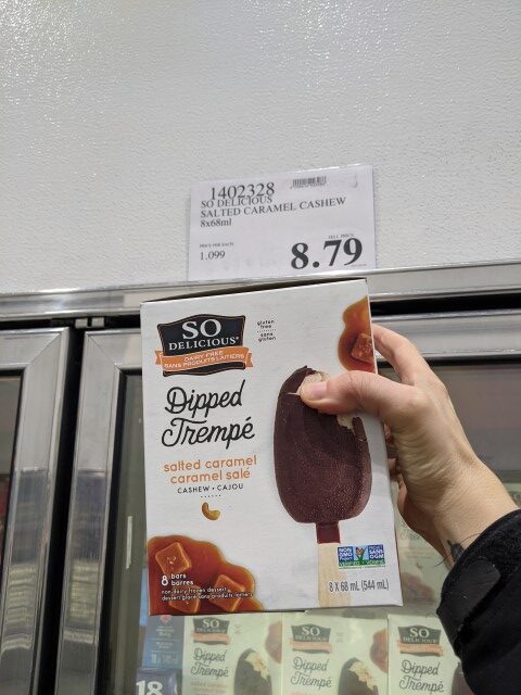 Dipped Salted Caramel Ice Creams
