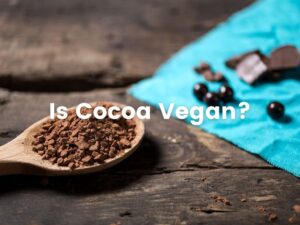 Is cocoa vegan?
